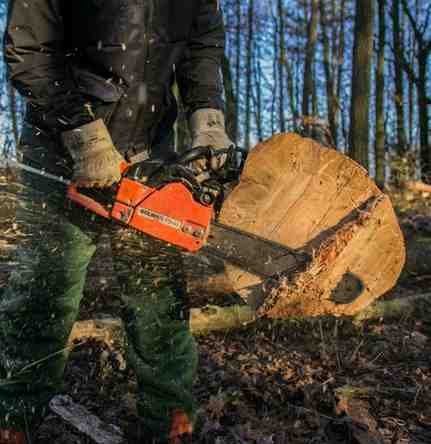 stump grinding services in scottsdale