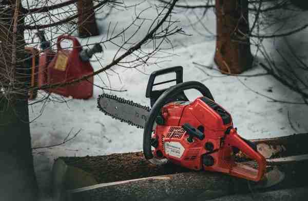 commercial tree services