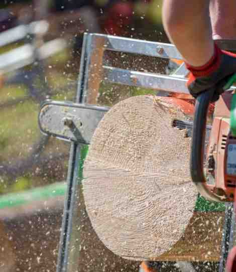 stump grinding vs. stump removal
