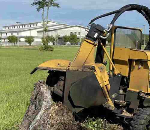tree stump grinding